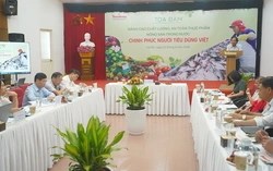 An toàn thực phẩm nhìn từ con số khiêm tốn của rau VietGAP