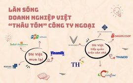 Doanh nghiệp Việt từ “con mồi” thành kẻ đi săn: Làn sóng M&A triệu đô