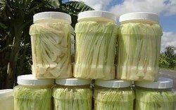 Bồn bồn – từ loài cỏ dại thành đặc sản miền Tây hút khách làm quà