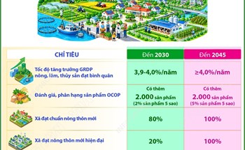 Hà Nội phấn đấu đến năm 2030, thu nhập khu vực nông thôn đạt 135 triệu đồng/người/năm