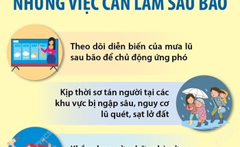 Khuyến cáo những việc cần làm sau bão