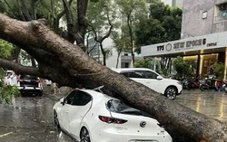 Một doanh nghiệp bảo hiểm ghi nhận 226 vụ tổn thất do bão số 10, bồi thường cao nhất 700 triệu đồng mỗi trường hợp