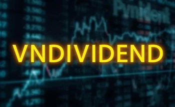 Lần đầu Việt Nam ra mắt chỉ số cổ phiếu tăng trưởng chi trả cổ tức – VNDIVIDEND