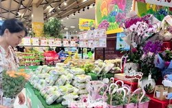 Quà tặng 20/10 đa dạng, nhiều lựa chọn độc đáo với giá bình dân