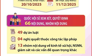 Kỳ họp thứ 10, Quốc hội khóa XV: Xem xét số lượng lập pháp lớn nhất từ đầu nhiệm kỳ