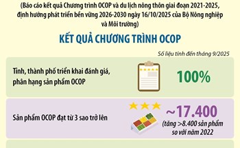 OCOP: Động lực phát triển kinh tế nông thôn