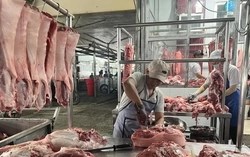 Loạn giá thịt lợn giữa lúc heo hơi giảm: TPHCM sắp thí điểm sàn giao dịch thịt heo từ tháng 12