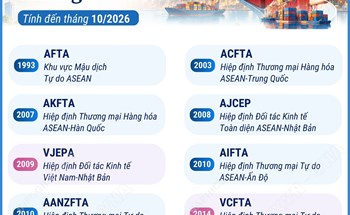 Các FTA Việt Nam tham gia (tính đến tháng 10/2026