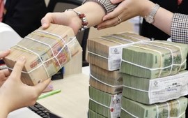 Vì sao nhiều ngân hàng báo lãi cao nhất lịch sử hoạt động?