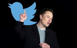 Bom tấn đầu tiên sau khi tiếp quản Twitter của Elon Musk: Sẽ tính phí người dùng 20 USD/tháng