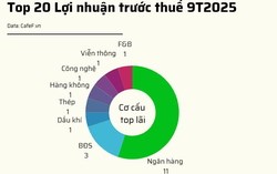 Top 20 doanh nghiệp niêm yết lãi lớn nhất 9 tháng 2025: Ngân hàng tiếp tục thống trị, bất động sản bứt phá