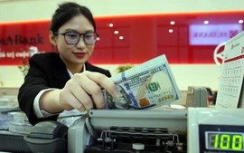 Diễn biến lạ giữa giá USD ngân hàng và thị trường tự do