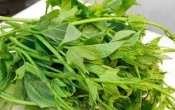 5 loại rau “ít thuốc, siêu lành”, giá rẻ nhất chợ Việt: không mua thì quá phí