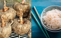 Một loại củ có thể biến thành cơm, bún, thạch: Hỗ trợ giảm cân, ổn định đường huyết 
