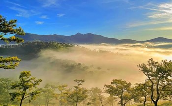 Vì sao Đà Lạt dẫn đầu tìm kiếm Google 2025: Thành phố quen mà vẫn “hot” suốt năm?