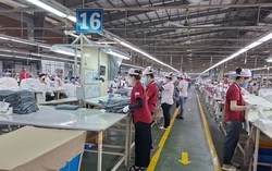 Doanh nghiệp Hàn Quốc gắn bó hơn hai thập kỷ tại Việt Nam tuyên bố dừng cuộc chơi