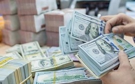 Mua bán ngoại tệ trái phép từ 1.000 USD, cá nhân có thể bị tịch thu tiền và phạt đến 100 triệu đồng