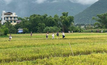 Phú Thọ: Chú trọng phát triển du lịch cộng đồng, phát huy bản sắc văn hóa dân tộc Mường