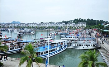 Quảng Ninh tạm ngừng cấp phép các hoạt động tham quan, lưu trú trên vịnh Hạ Long