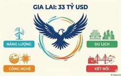 “Đại bàng” đổ bộ Gia Lai: Hơn 33 tỷ USD vốn đầu tư đón đầu chu kỳ phát triển mới