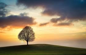 “Functional loneliness” - Kiểu cô đơn âm thầm của những người trông lúc nào cũng ổn