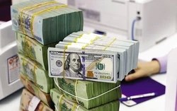 Ngân hàng Nhà nước bơm thêm công cụ hỗ trợ thanh khoản, lãi suất liên ngân hàng lao dốc từ đỉnh 11%