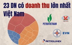 Doanh nghiệp nào tạo doanh thu lớn nhất Việt Nam? 4 “ông lớn” nhà nước chiếm gần một nửa tổng quy mô