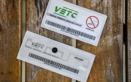 VETC và ePass bắt đầu thu phí duy trì tài khoản