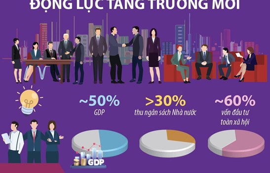 Kinh tế tư nhân: Trụ cột kiến tạo động lực tăng trưởng mới