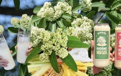 Trà sữa, nước khoáng hoa sữa ở Hà Nội: Sự thật phía sau món đồ uống gây tò mò