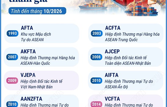 Các FTA Việt Nam tham gia (tính đến tháng 10/2026
