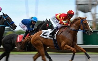 Mảng môi giới chứng khoán lãi gộp hơn 2.000 tỷ đồng trong quý 3 – Biên lợi nhuận đạt đỉnh 4 năm nhờ thanh khoản bùng nổ