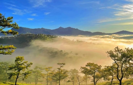 Vì sao Đà Lạt dẫn đầu tìm kiếm Google 2025: Thành phố quen mà vẫn “hot” suốt năm?