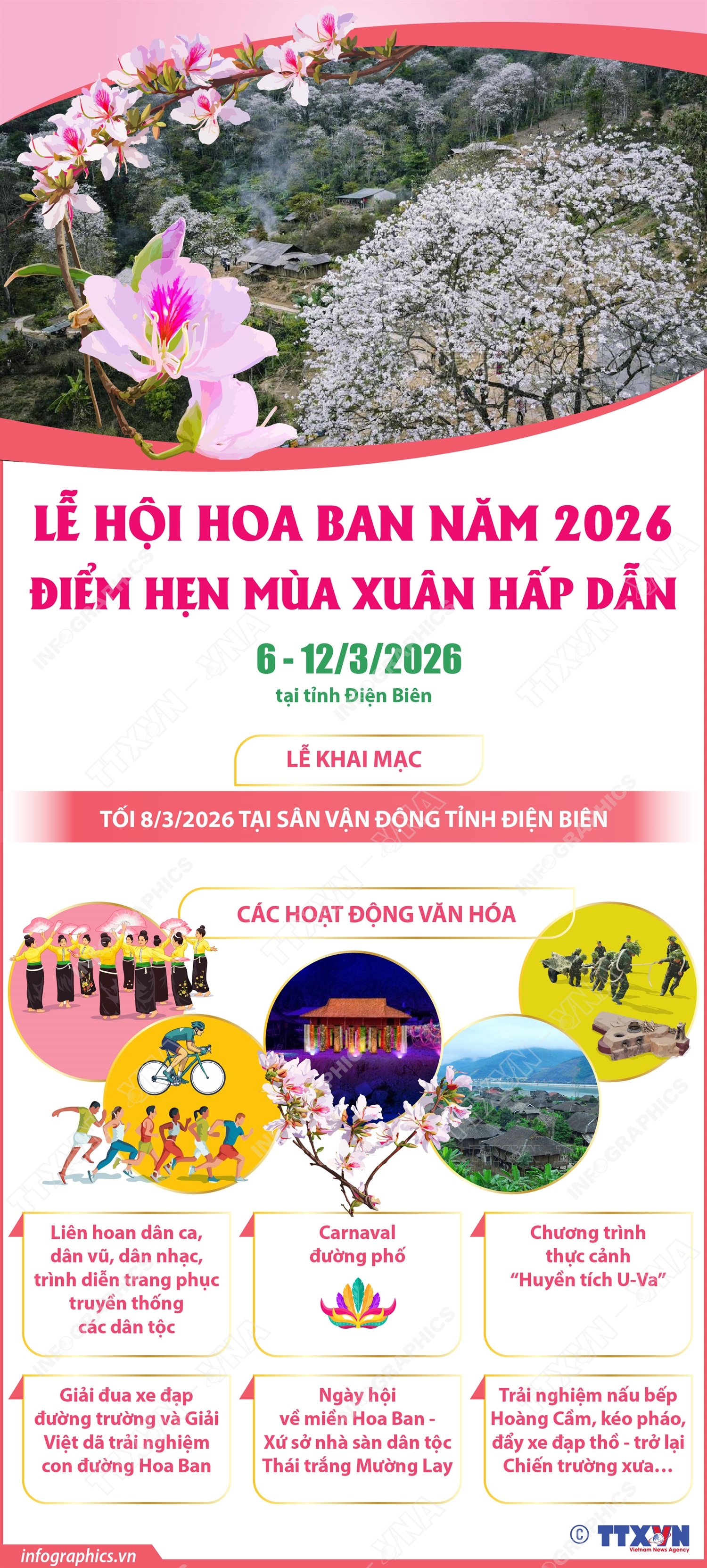 Lễ hội Hoa Ban năm 2026: Điểm hẹn mùa Xuân hấp dẫn - Ảnh 1