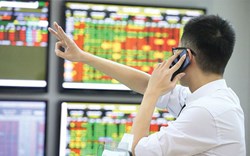 Dragon Capital: Việt Nam đã có kinh nghiệm ngăn chặn Covid, thị trường chứng khoán sẽ sớm ổn định trở lại