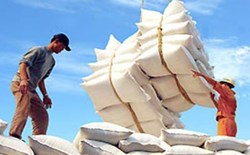 Việt Nam tạm dừng xuất khẩu gạo từ ngày 24/3, khẩn trương mua dự trữ gạo quốc gia