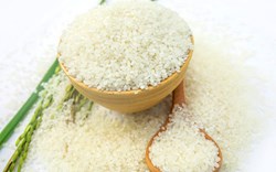 Giá gạo Việt Nam giảm, gạo Thái Lan thấp nhất hơn 4 tháng để cạnh tranh với Ấn Độ