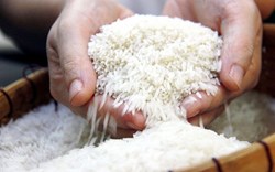 Gạo Việt Nam bán tại Anh hầu hết đều mang thương hiệu của nhà phân phối