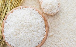 Giá gạo Châu Á lao dốc sau khi USDA công bố dự báo lạc quan về sản lượng và xuất khẩu gạo thế gới