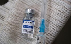 Cổ phiếu doanh nghiệp nhập khẩu vaccine Covid-19 