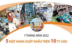 7 tháng năm 2022: 5 mặt hàng xuất khẩu trên 10 tỷ USD