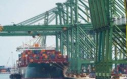 Ngành cảng biển: Đang bị kìm hãm trước việc thiếu hụt trầm trọng container rỗng, dài hạn vẫn lạc quan cùng đà dịch chuyển dòng vốn sang Việt Nam