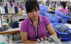 Nhiều mặt hàng của Việt Nam đã ngay lập tức được hưởng lợi từ EVFTA