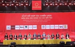 Hoa Sen tách mảng bán lẻ, lập Hoa Sen Home vốn 1.000 tỷ đồng, hé lộ loạt kế hoạch tăng trưởng dài hạn