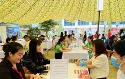 Thị trường việc làm quý I/2026 khởi sắc, hàng loạt lĩnh vực cần thêm nhân lực