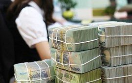 Khoảng 33% người trưởng thành Việt Nam gửi tiết kiệm ngân hàng