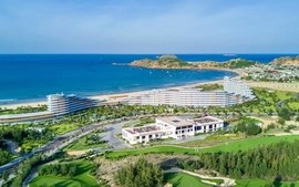 Đại ngàn Gia Lai rực rỡ sự kiện Năm Du lịch quốc gia 2026, pháo hoa thắp sáng hành trình “chạm biển xanh”