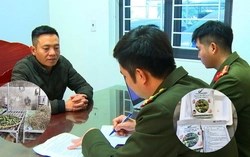 Vạch trần “thần y mạng” Hoàng Minh Đường: Đường dây bán thuốc xương khớp giả thu hơn 227 tỉ đồng