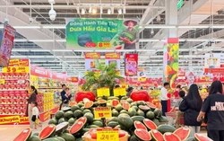 Trái cây vào chính vụ, giá “chạm đáy”, người dân TP.HCM đổ xô mua