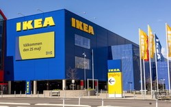 Vì sao các quốc gia Bắc Âu nhỏ bé lại sản sinh ra những thương hiệu toàn cầu bền bỉ hàng thập kỷ?